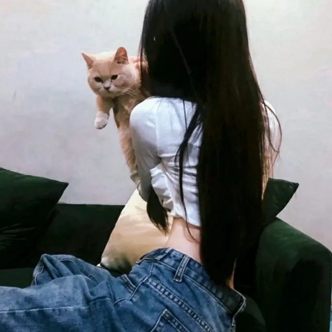 吃鸡战场
